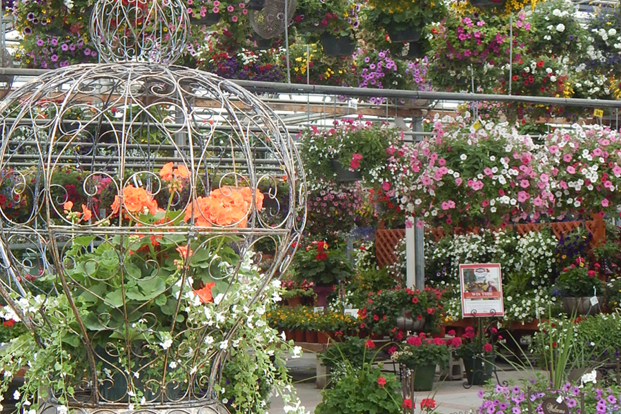 Hanging Baskets & Container Gardens - Johansen Farms Nursery & Garden Center