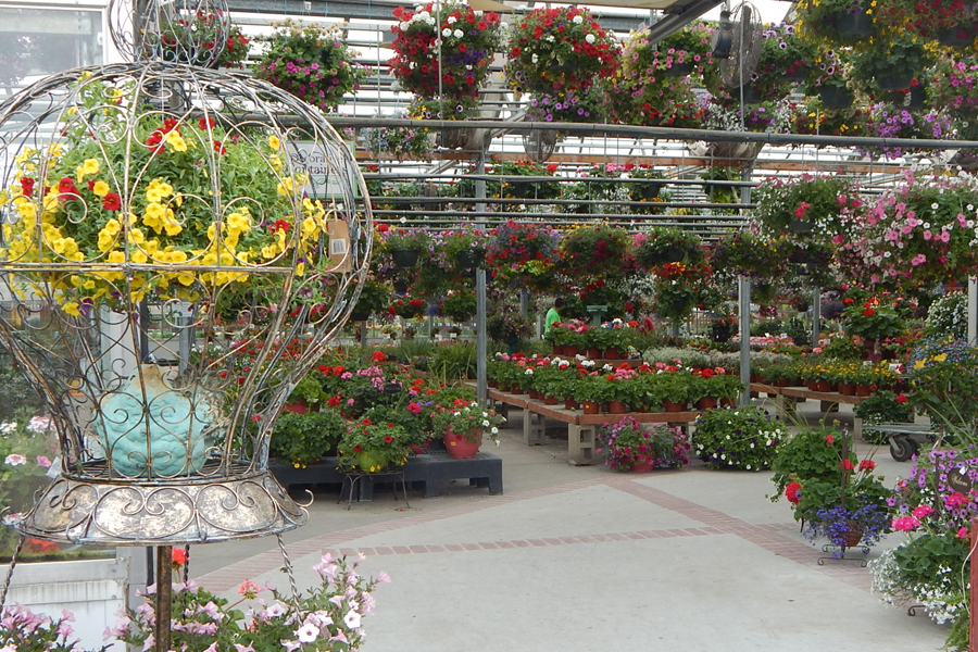 Hanging Baskets & Container Gardens - Johansen Farms Nursery & Garden Center