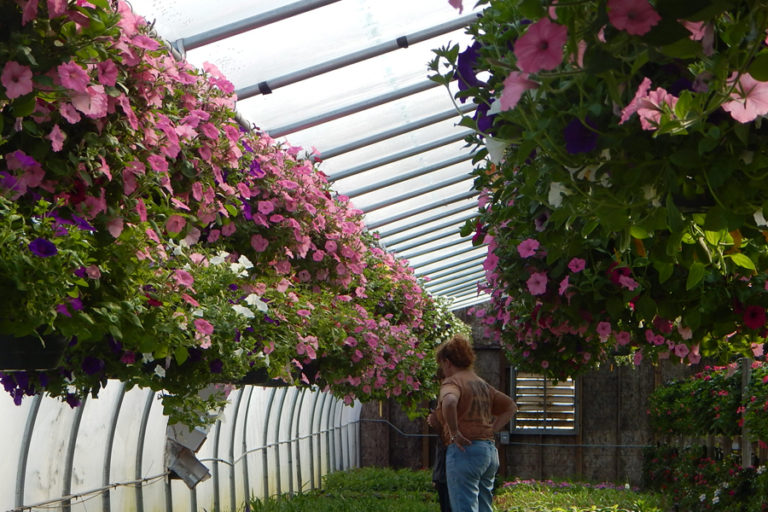 Johansen Farms Nursery & Garden Center JOHANSEN FARMS NURSERY & GARDEN