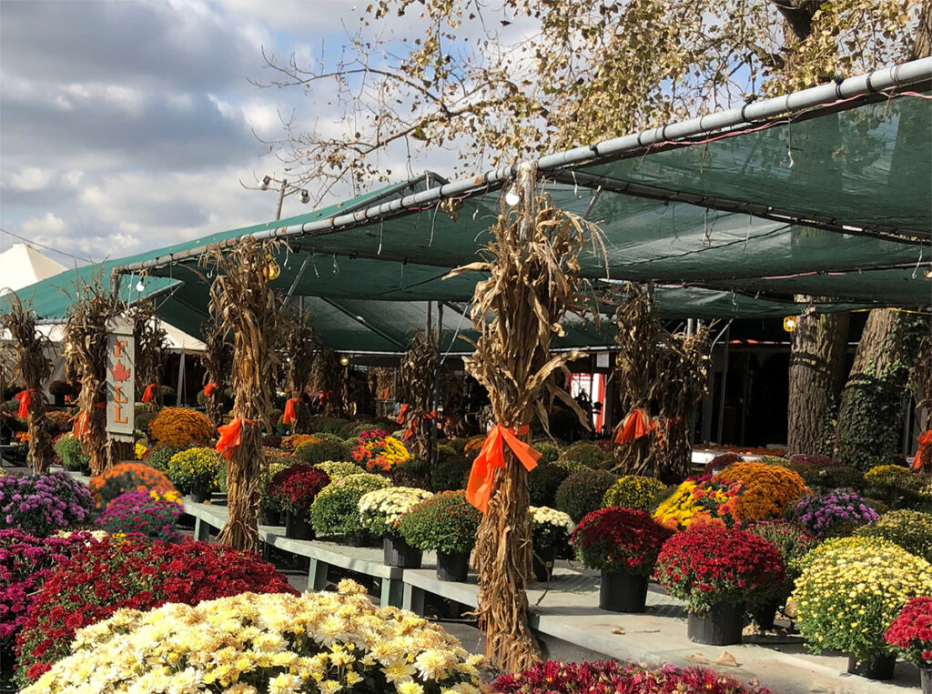 Johansen Farms Children's Zoo, Pumpkin Patch & Fall Festival Open