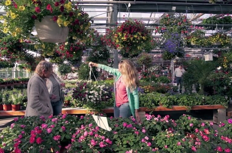 Johansen Farms Nursery & Garden Center JOHANSEN FARMS NURSERY & GARDEN